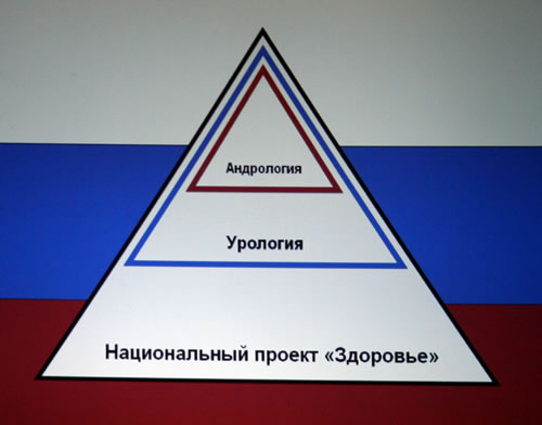 «Андрология как субспециальность урологии»