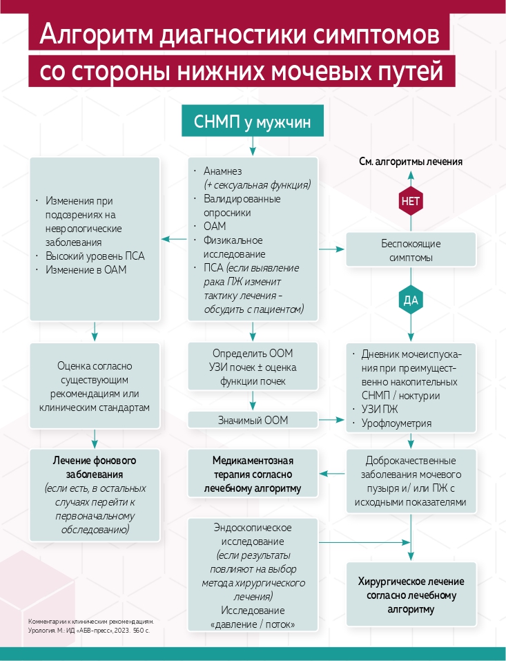 Шаги к улучшению качества жизни пациентов: эффективная терапия симптомов нижних мочевых путей