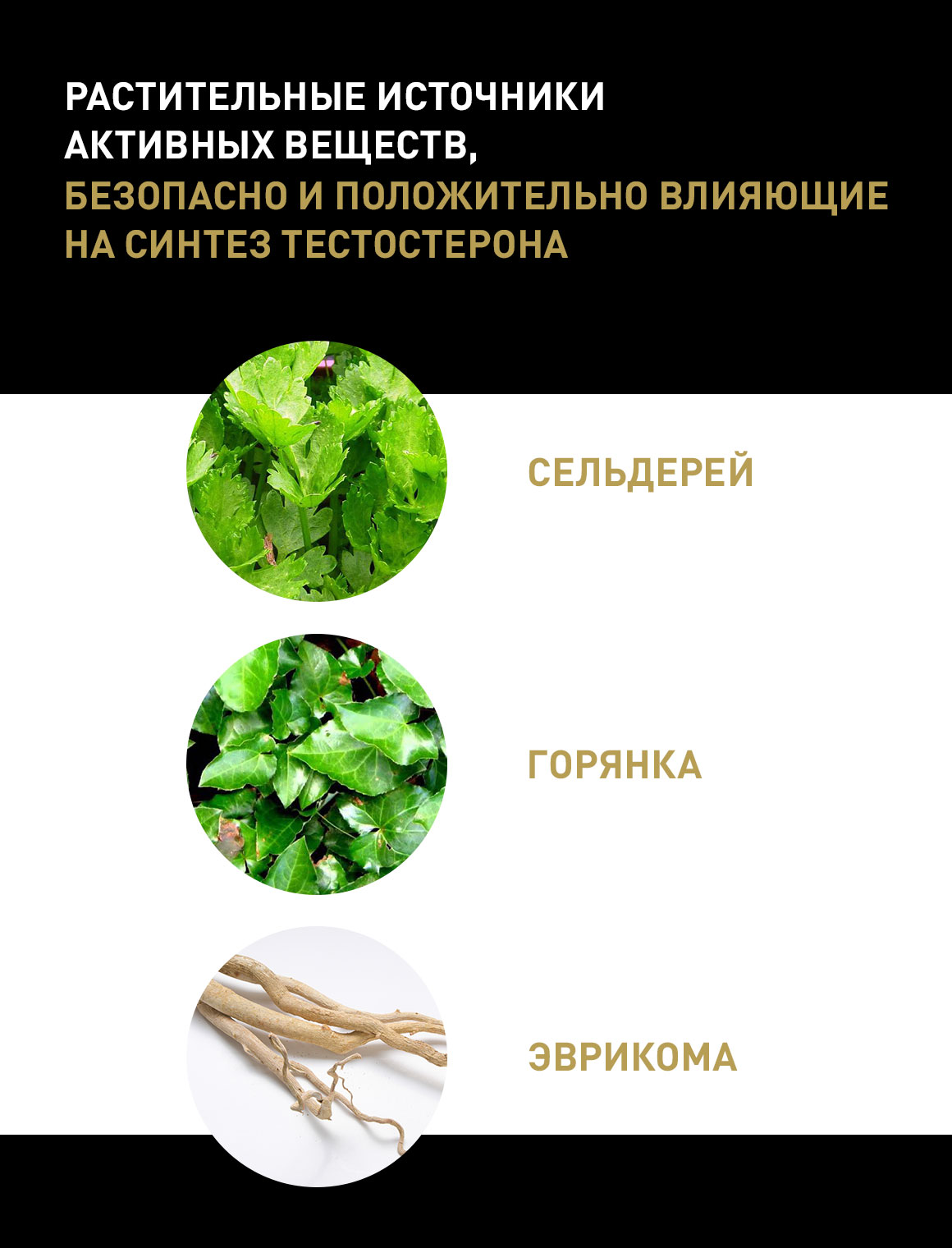 Андрогенный дефицит