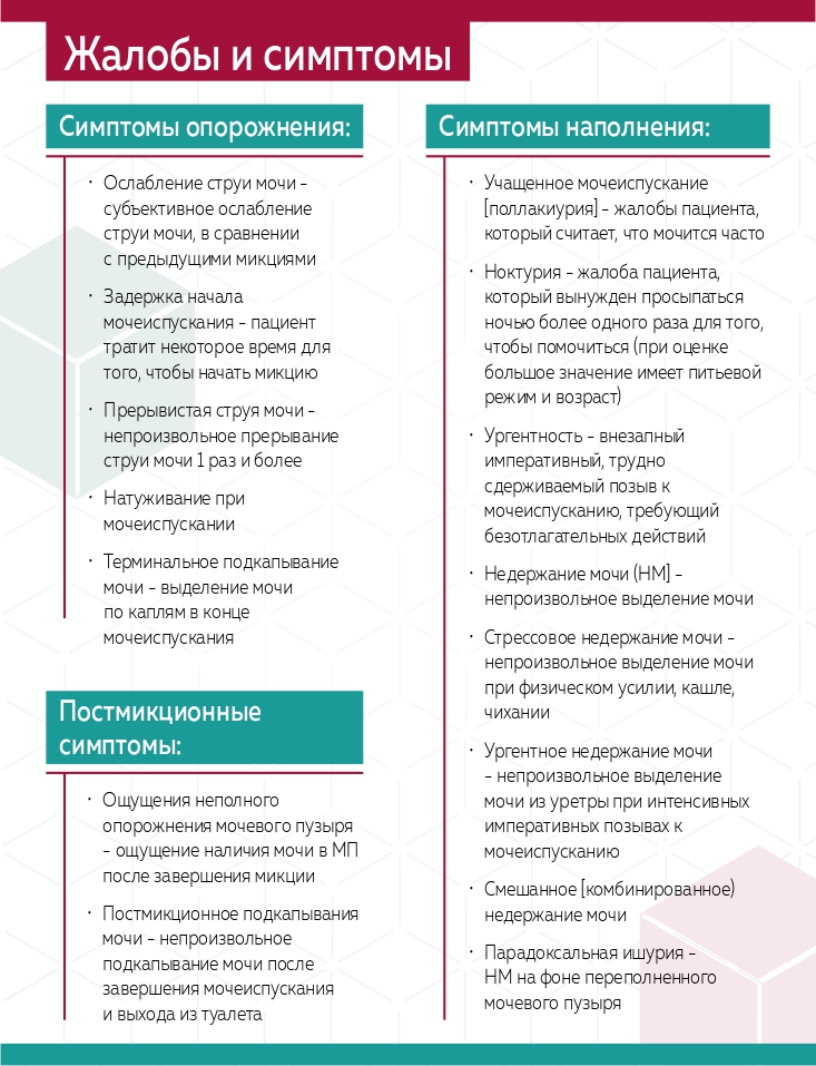 Шаги к улучшению качества жизни пациентов: эффективная терапия симптомов нижних мочевых путей