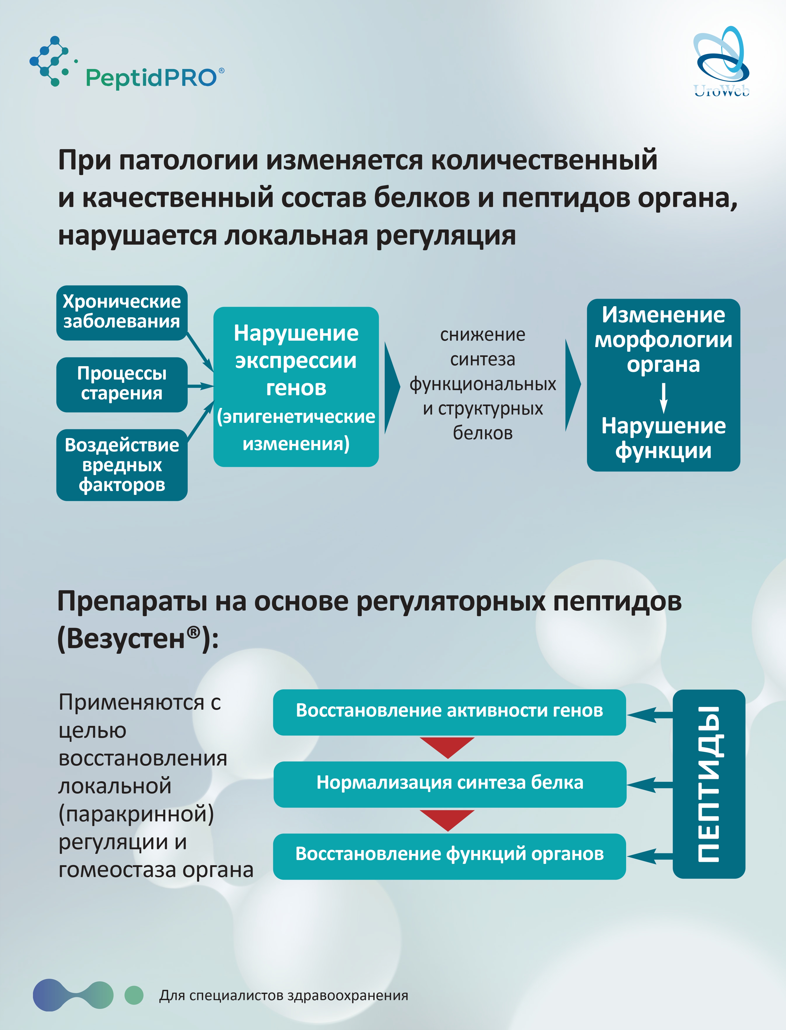 Патогенетическое лечение ГМП