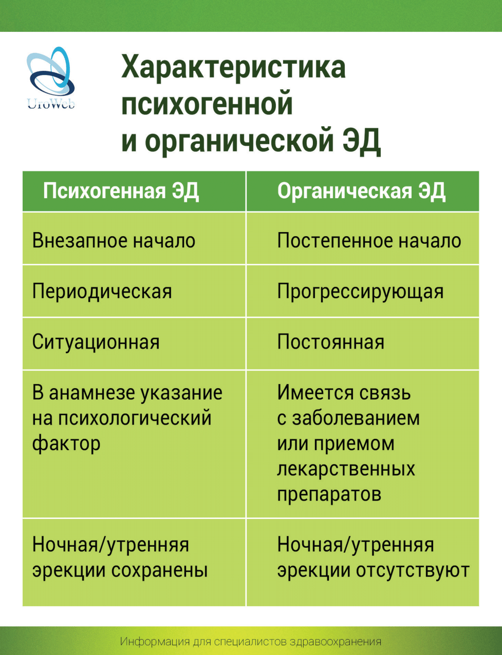 Современный взгляд на патогенез эректильной дисфункции