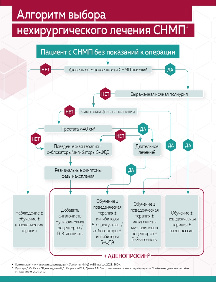 Шаги к улучшению качества жизни пациентов: эффективная терапия симптомов нижних мочевых путей