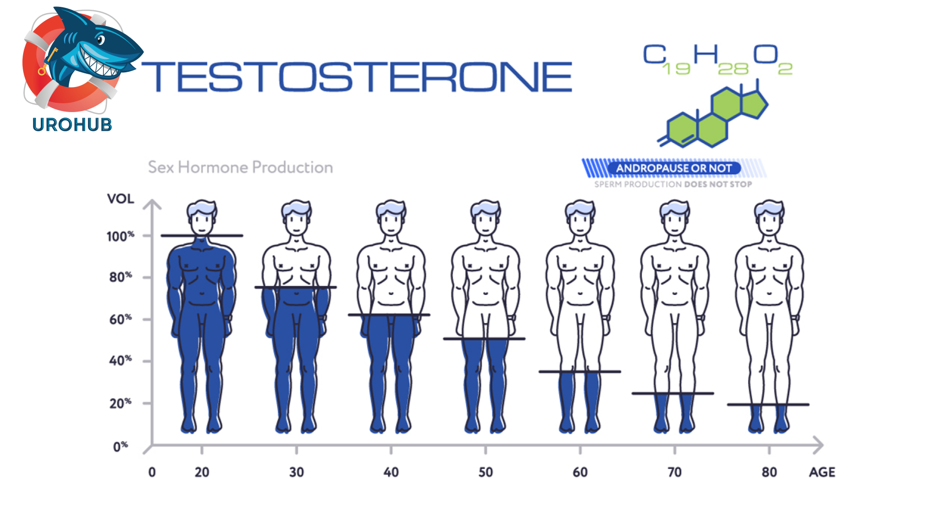 тестостерон и длина члена фото 71