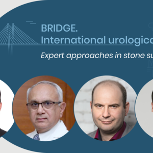 BRIDGE. International urological project. Expert approaches in stone surgery