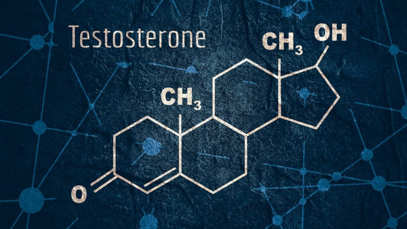 Плотность эндогенного тестостерона является независимым предиктором инвазии при раке предстательной железы.