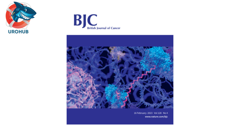 Семейный анамнез, ожирение, урологические состояния и противодиабетические препараты – связь с риском диагностики рака предстательной железы