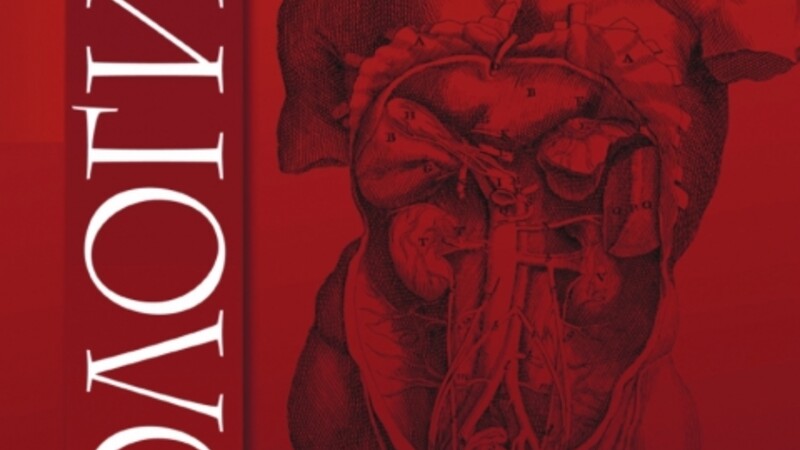 Противовоспалительная терапия инфекций нижних мочевых путей у пациенток с заболеваниями дистальной уретры