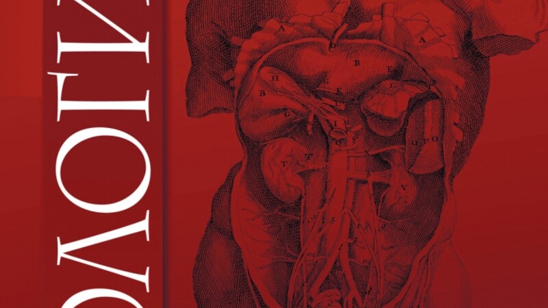 Фрагментация ДНК сперматозоидов. Есть ли связь с основными параметрами спермы и возрастом?