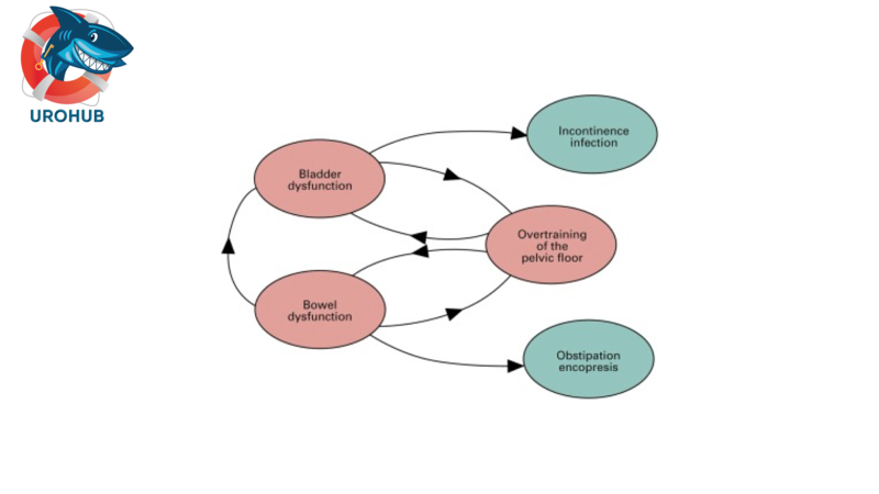 Уробиом здоровых детей и у детей с дисфункцией мочевого пузыря и кишечника