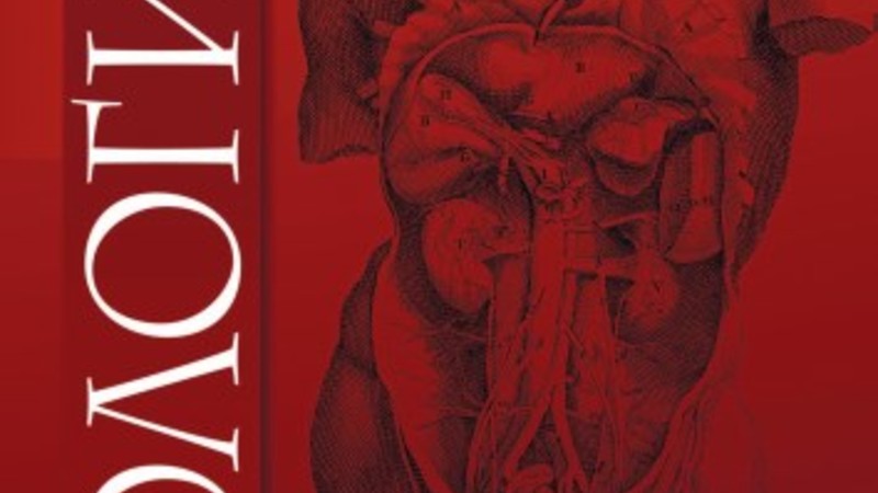 Оценка риска патозооспермии у мужчин при измерении эндокринных дизрапторов – бисфенола А и триклозана в семенной жидкости методом газовой хроматографии с масс-спектрометрией