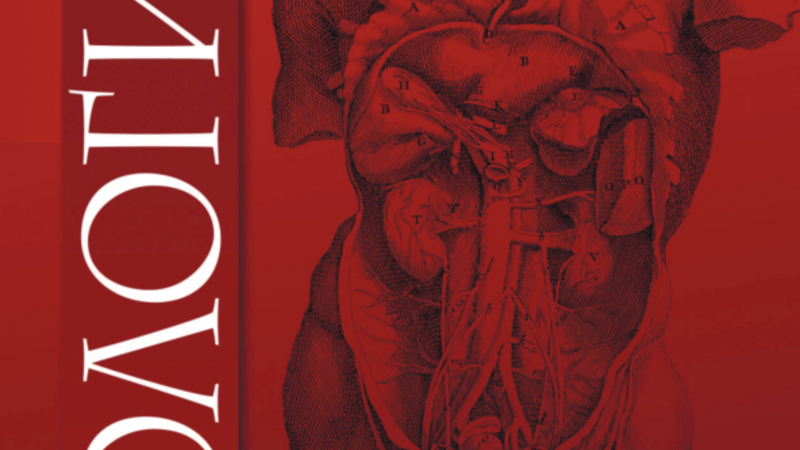 Неантибактериальная терапия и профилактика острого и рецидивирующего цистита: существующие варианты и перспективы