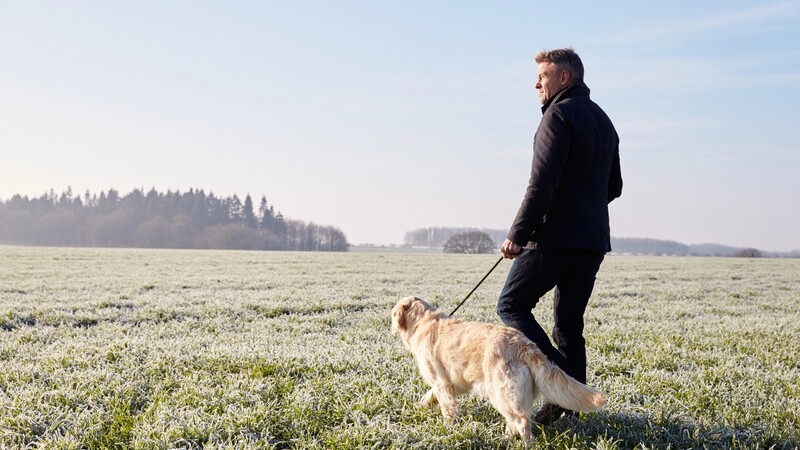 Пребывание «на свежем воздухе» может повысить уровень тестостерона