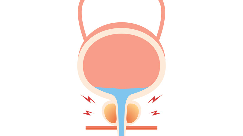 Влияние ХП/СХТБ на фертильность: от воспаления до митохондриальной дисфункции