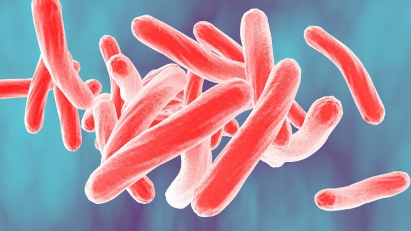 Клинические особенности и лекарственная резистентность туберкулеза мочеполовой системы
