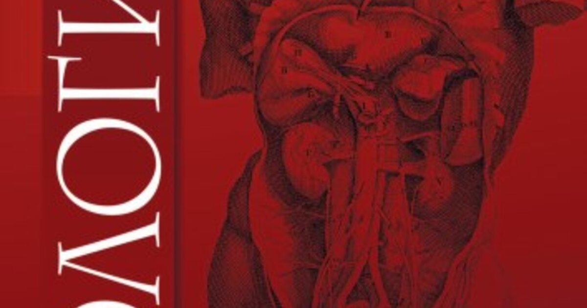 Қатал секс туралы мобильді порно видео үлкен серпімді бөкселер ит стилі