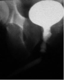 ����������� ����������. ���������� ����