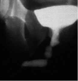 ����������� ����������. ���������� ����