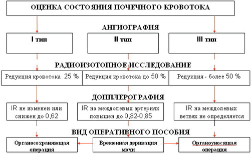 Схема-алгоритм, которая призвана помочь в выработке тактики лечения в зависимости от типа нарушения почечного кровотока