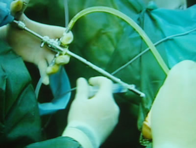        ,     ,  ,     .   ,          .