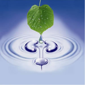   Bionorica,         .