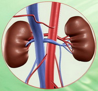Применение Роватинекса